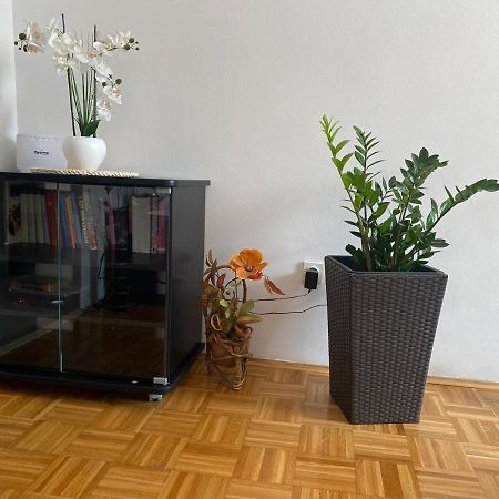 Apartment Miana Трогир Экстерьер фото
